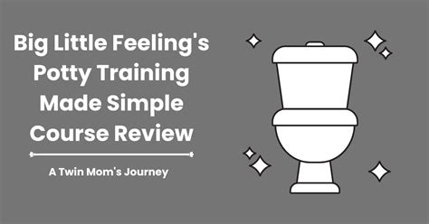 big little feelings potty training